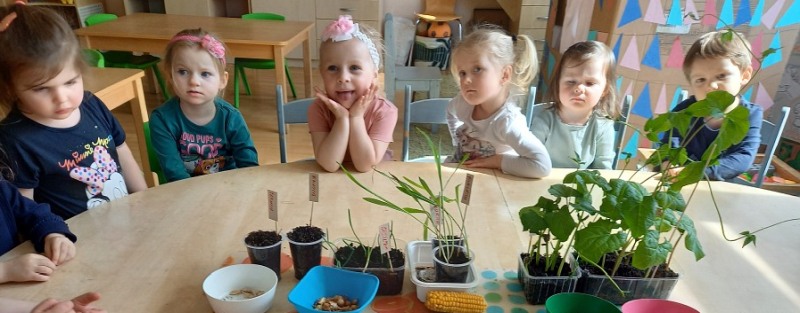 Od semienka k zelenine